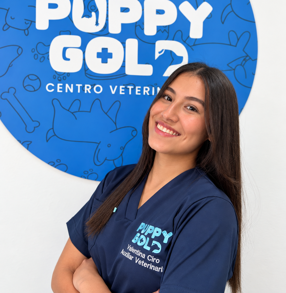 Integrante del equipo de Puppy Gold