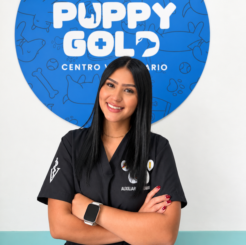 Integrante del equipo de Puppy Gold
