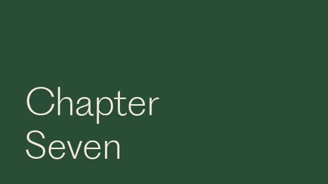 Chapter Seven