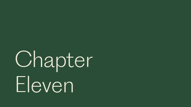 Chapter Eleven