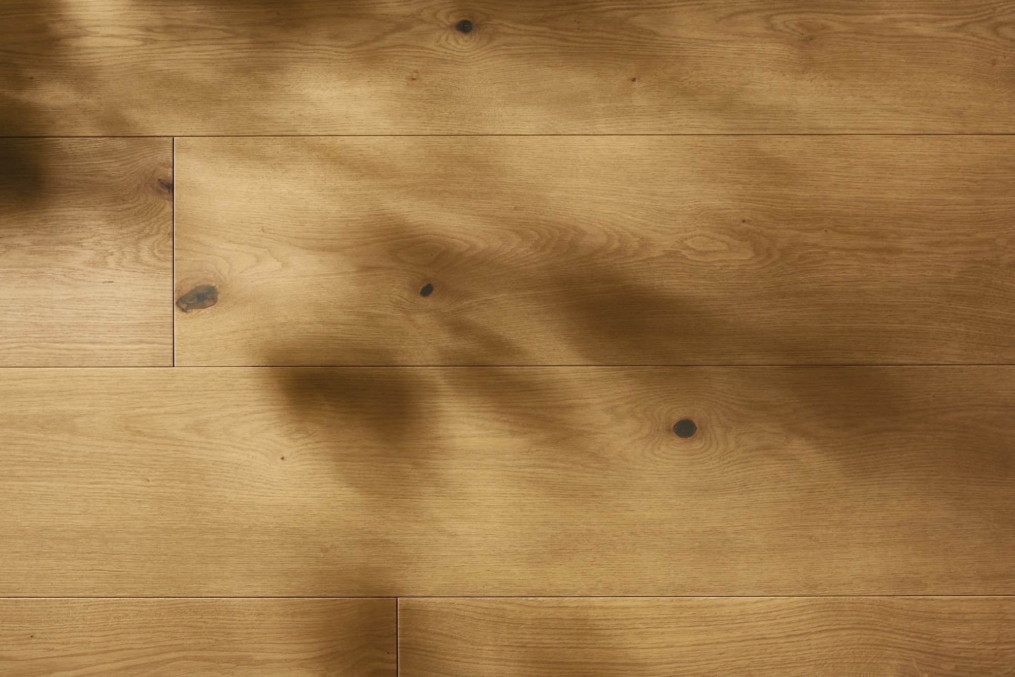 Refined oak floors that age with beauty: Classic Futures® collection