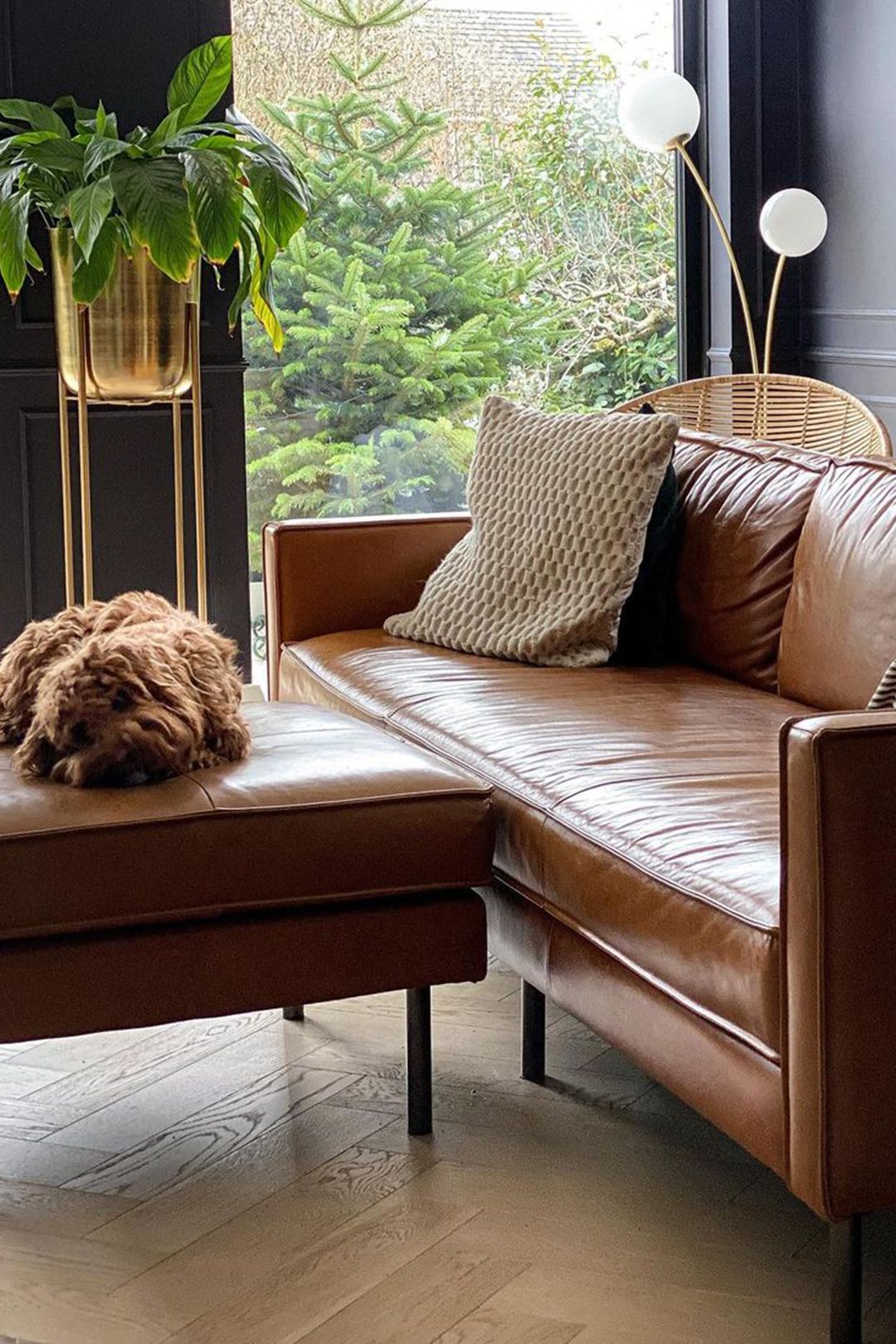 Living Room inspiration gallery image 2
