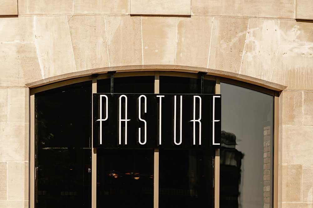 Pasture detail 1