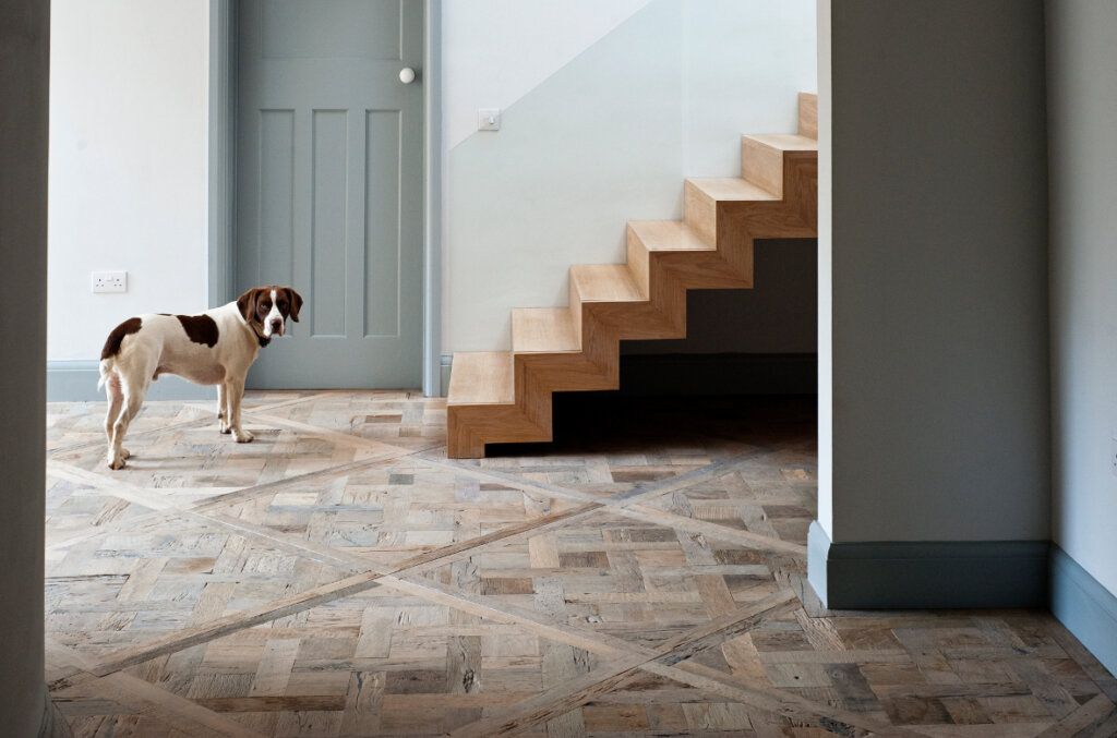 How To Protect Your Wood Floor From Pets