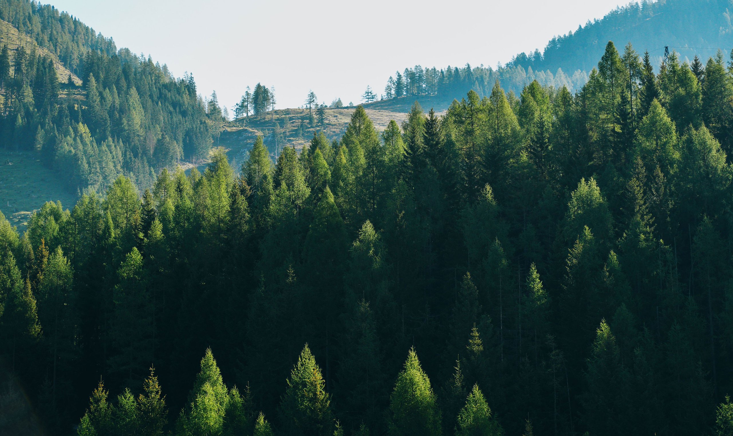 Sustainability Statement