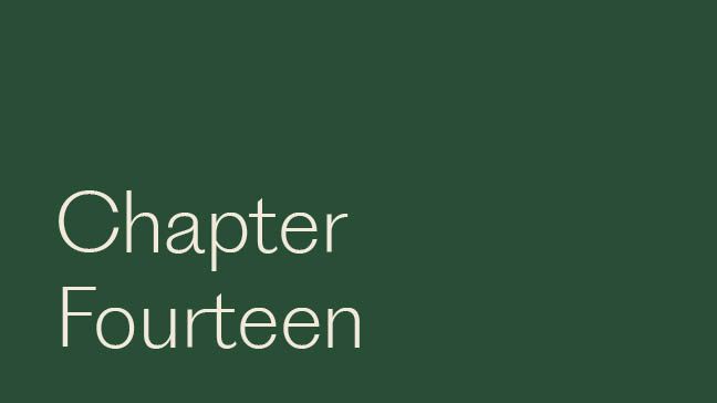 Chapter Fourteen