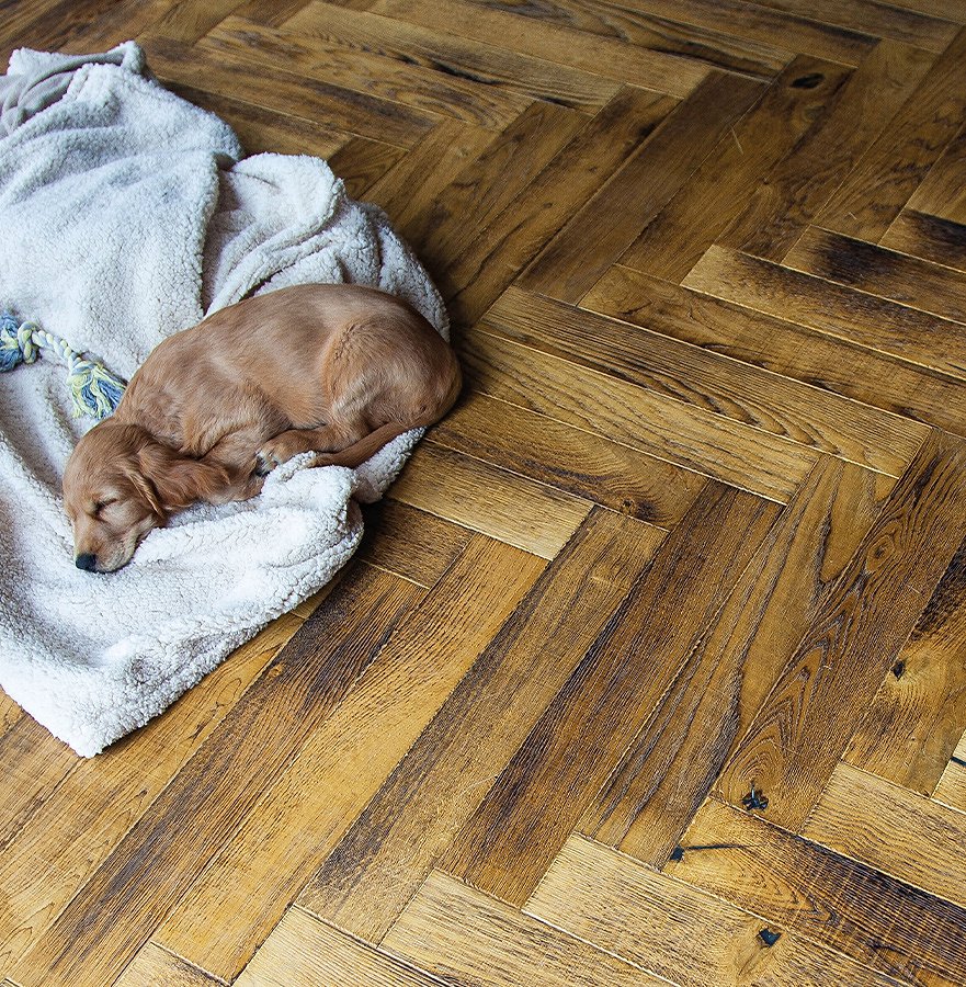 How To Protect Your Wood Floor From Pets