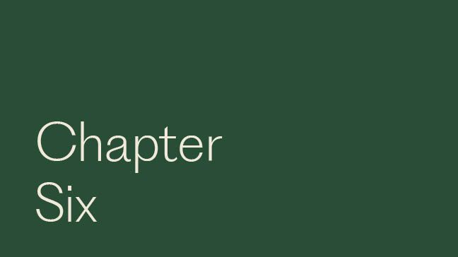 Chapter Six