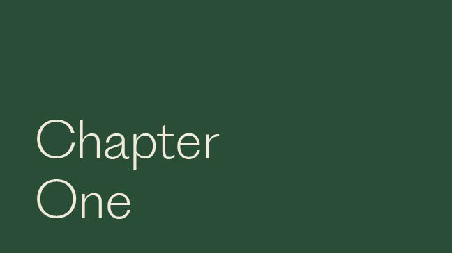 Chapter One 