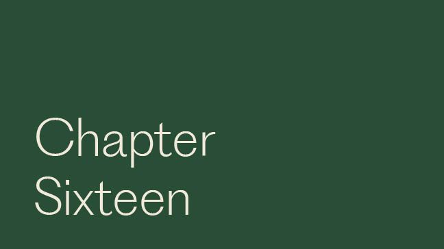 Chapter Sixteen