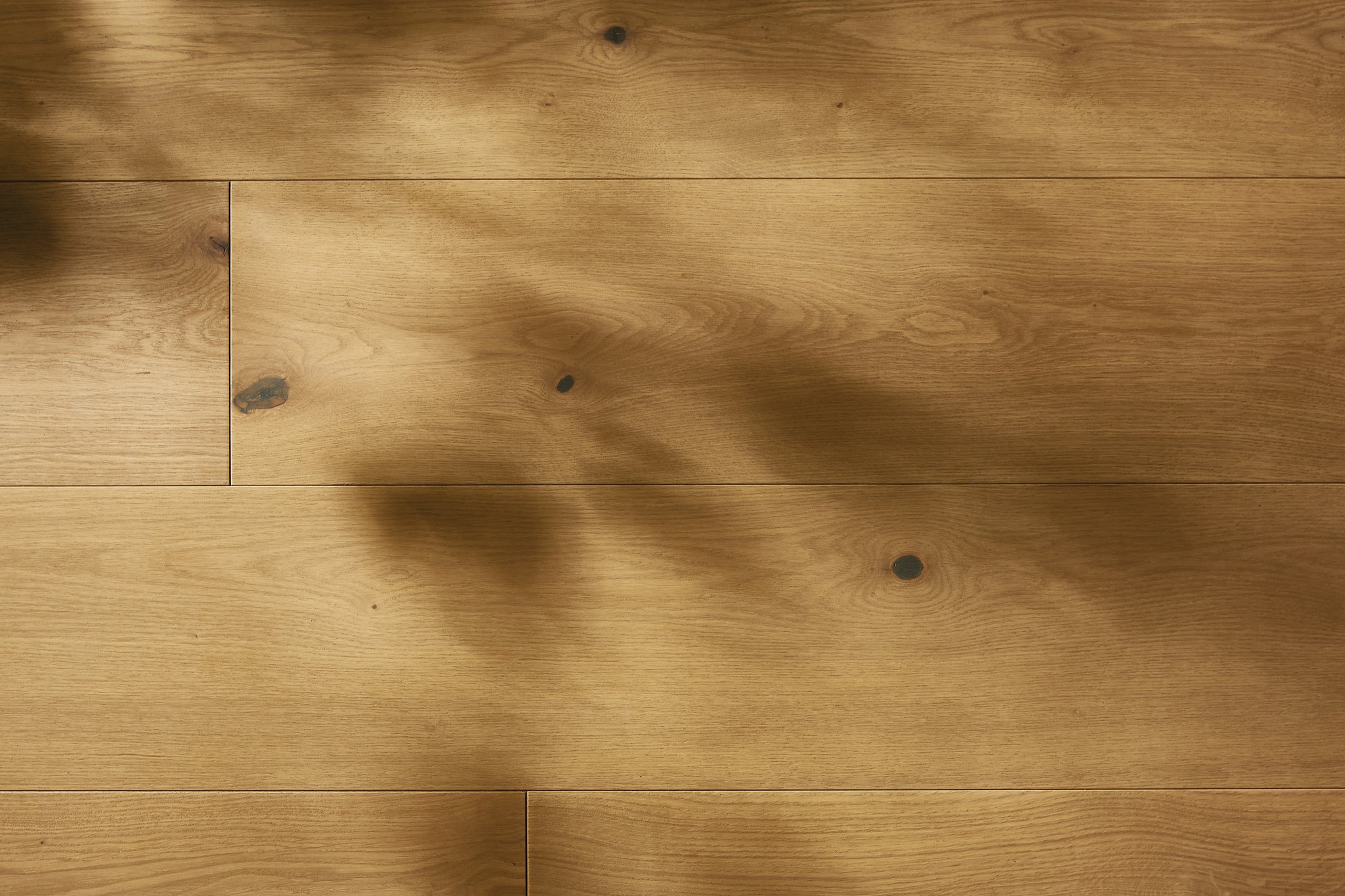 Sunlight falling across a Ted Todd wide oak plank floor