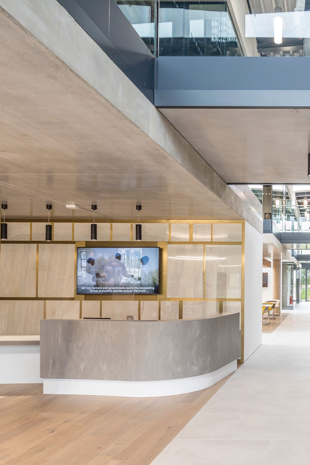 Commercial wood flooring interior