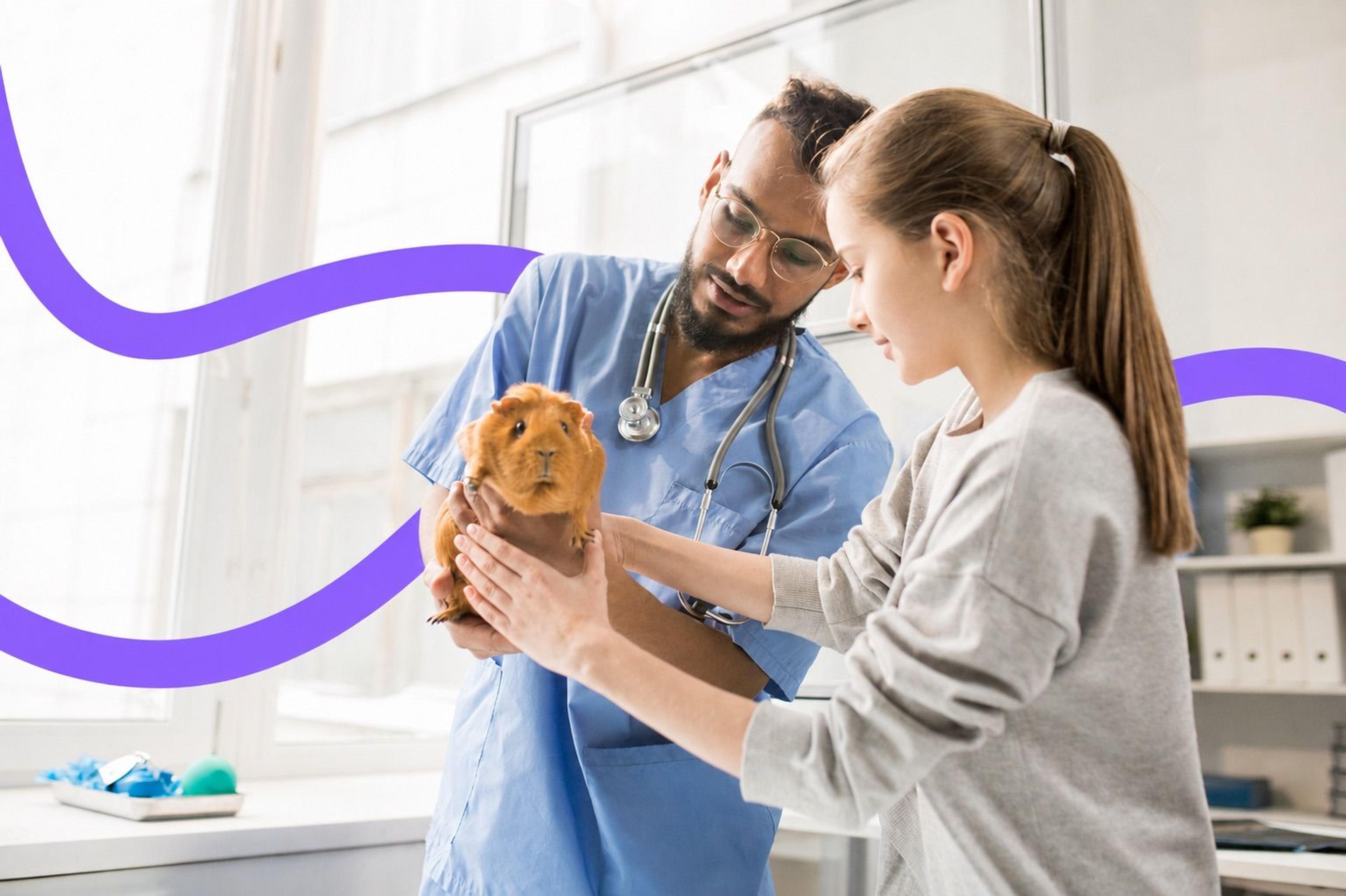 VCA Animal Hospitals