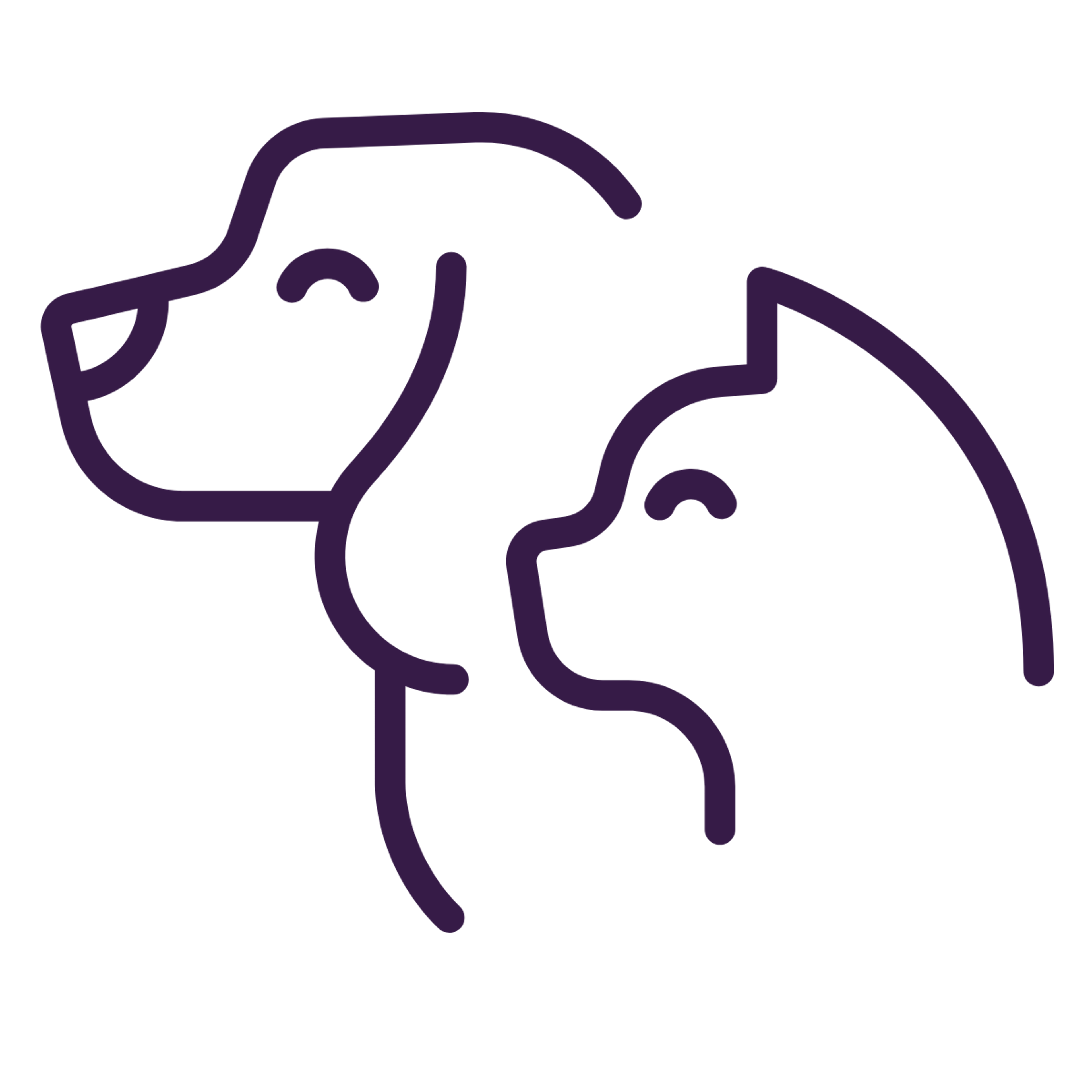 null icon