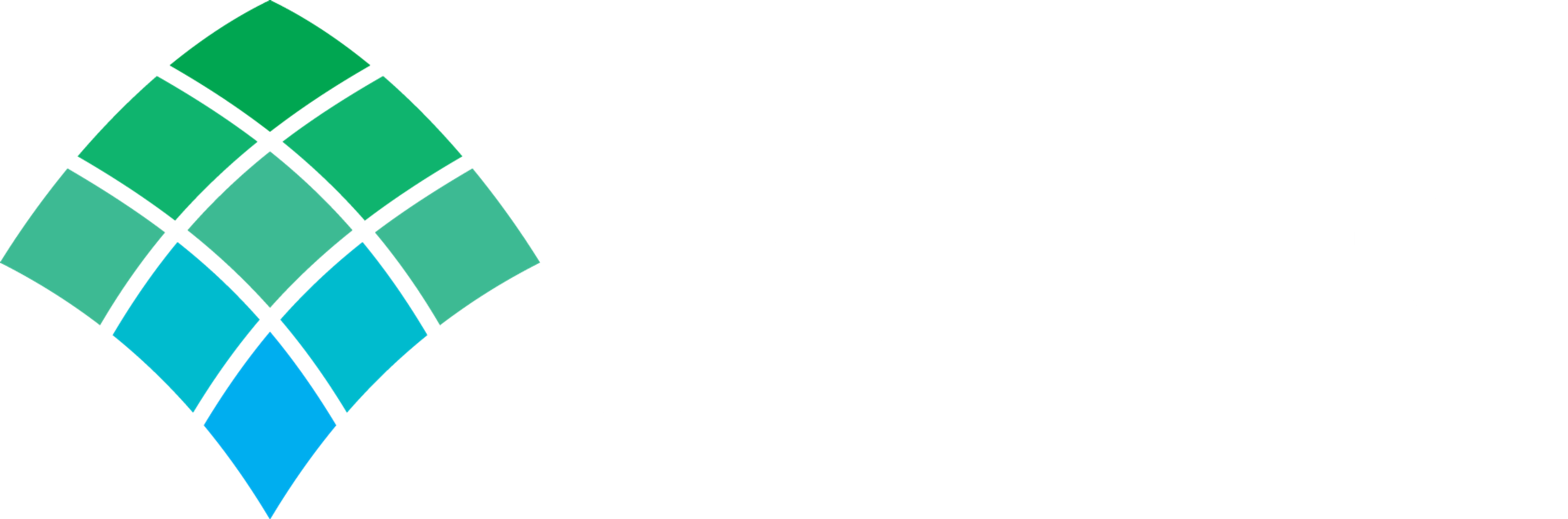 Allegheny Health Network