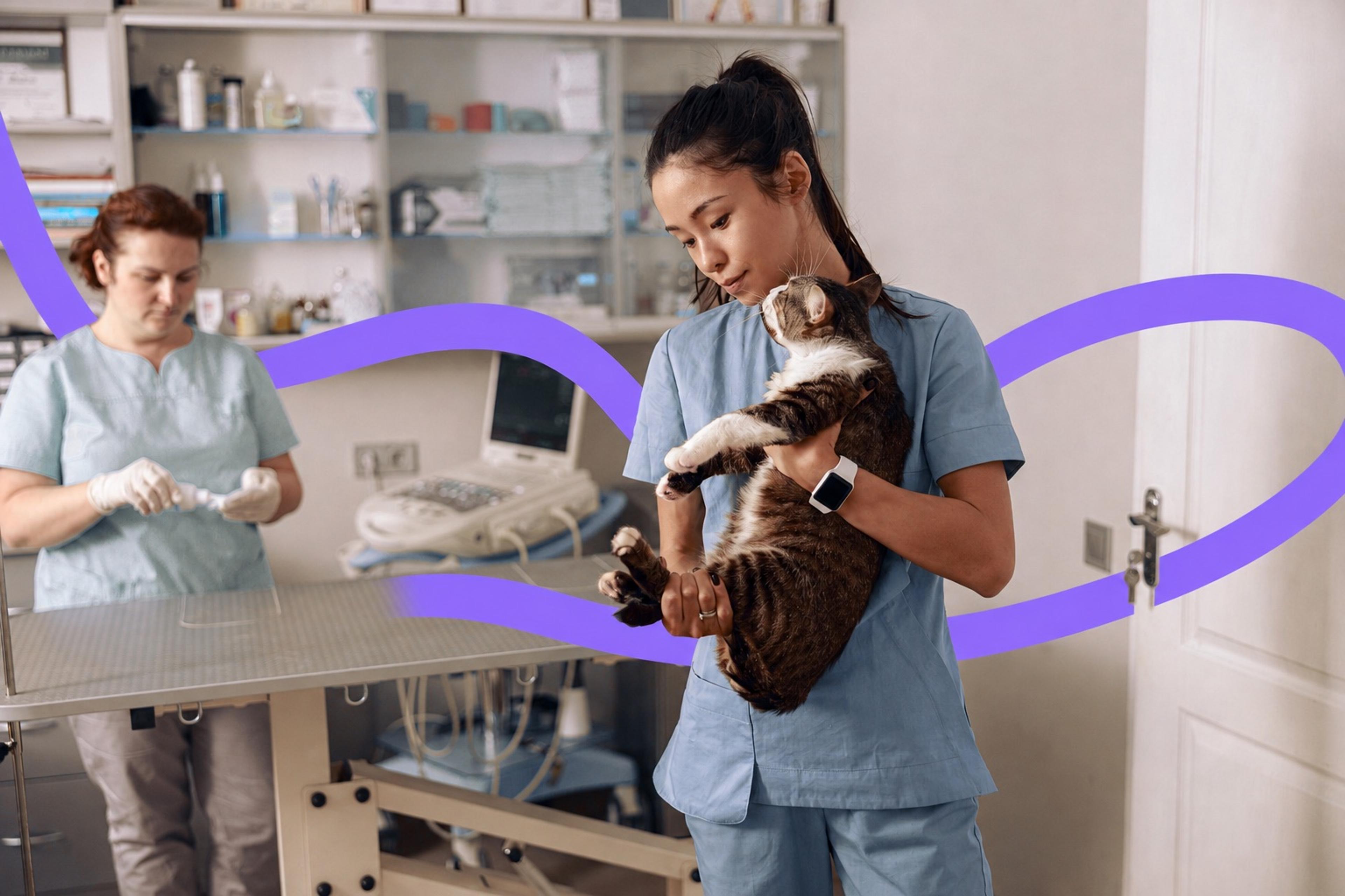 A veterinarian holding a cat during an exam while a colleague prepares equipment
