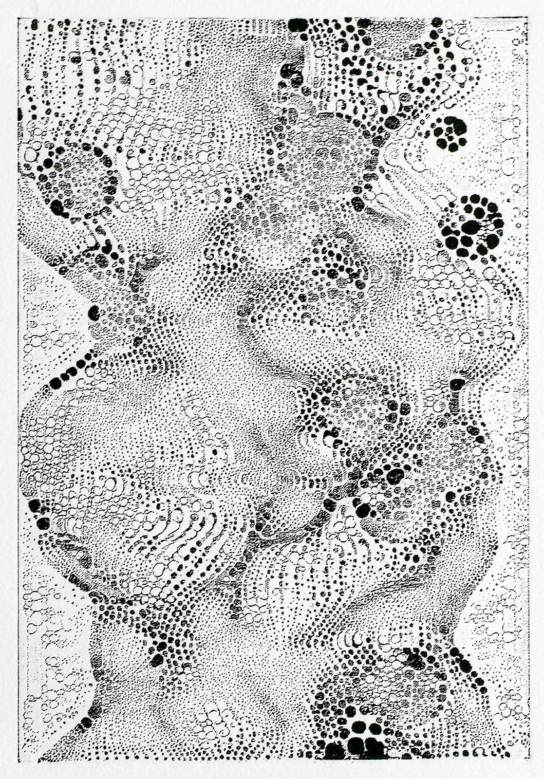 Micrographia_III_Print_CU_01