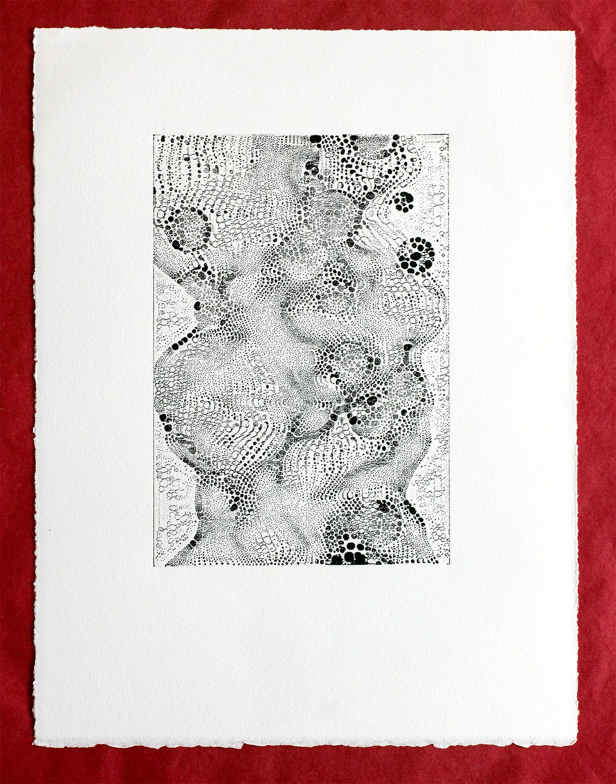 Micrographia_III_Print