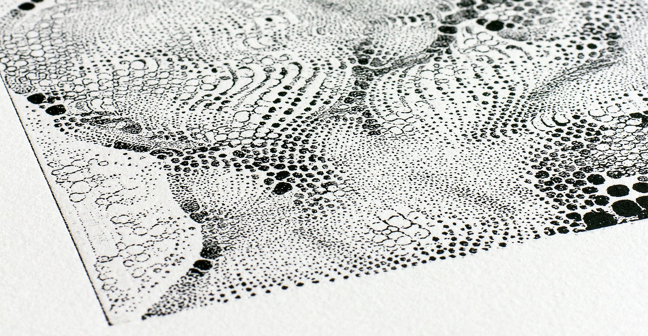 Micrographia_III_Print_CU_02