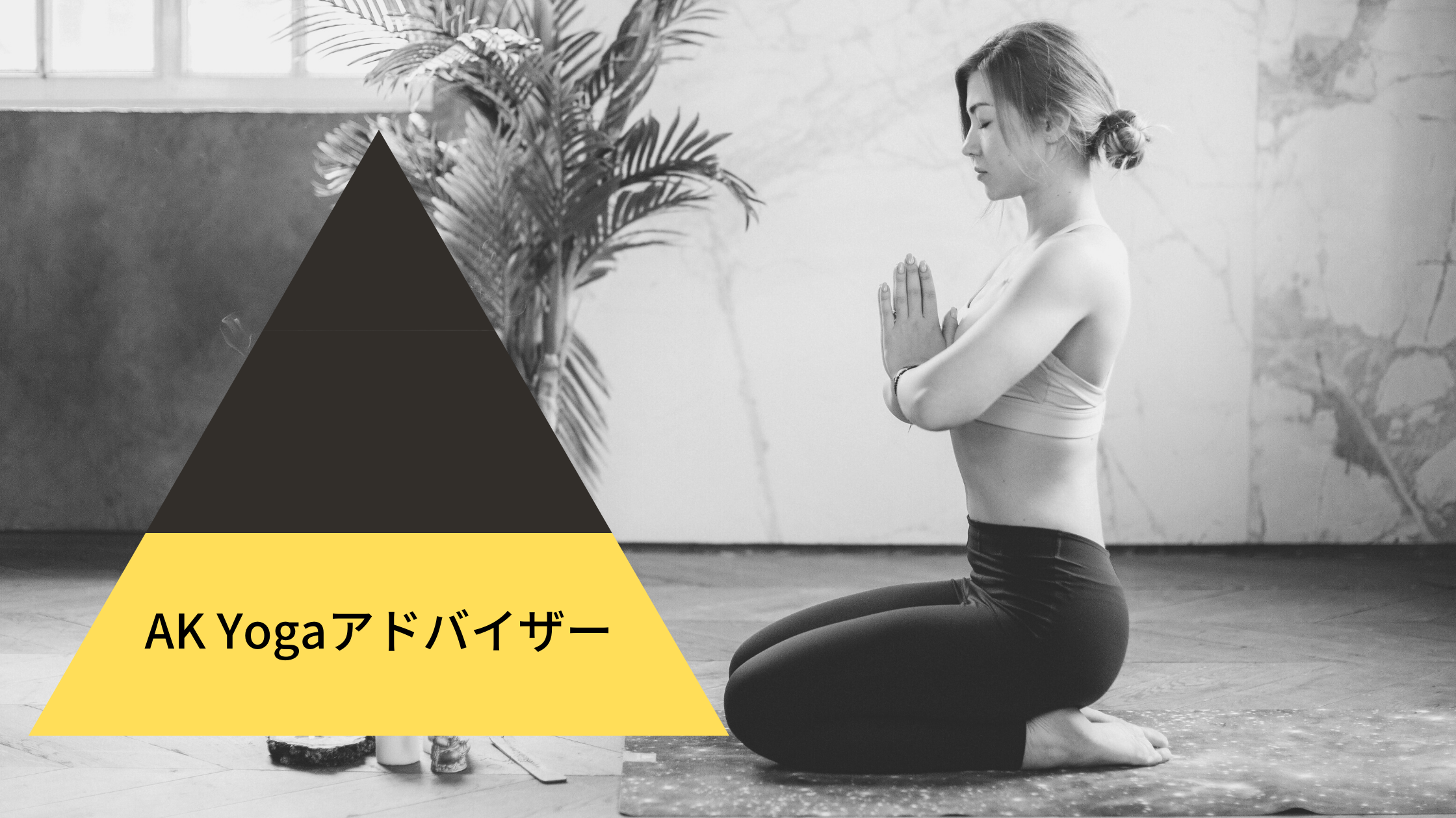AK Yoga Advisor Course image
