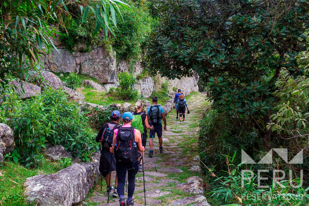 CAMINO INCA CORTO UN DÍA: Caminata por Bosques Nubosos hacia Machu Picchu vía la Puerta del Sol