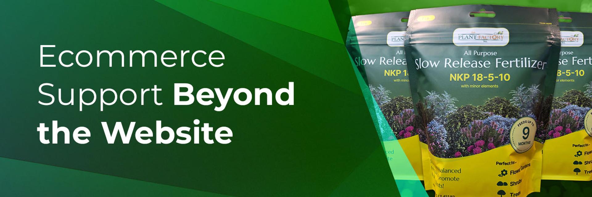 Cover for Ecommerce Support: Beyond the Website