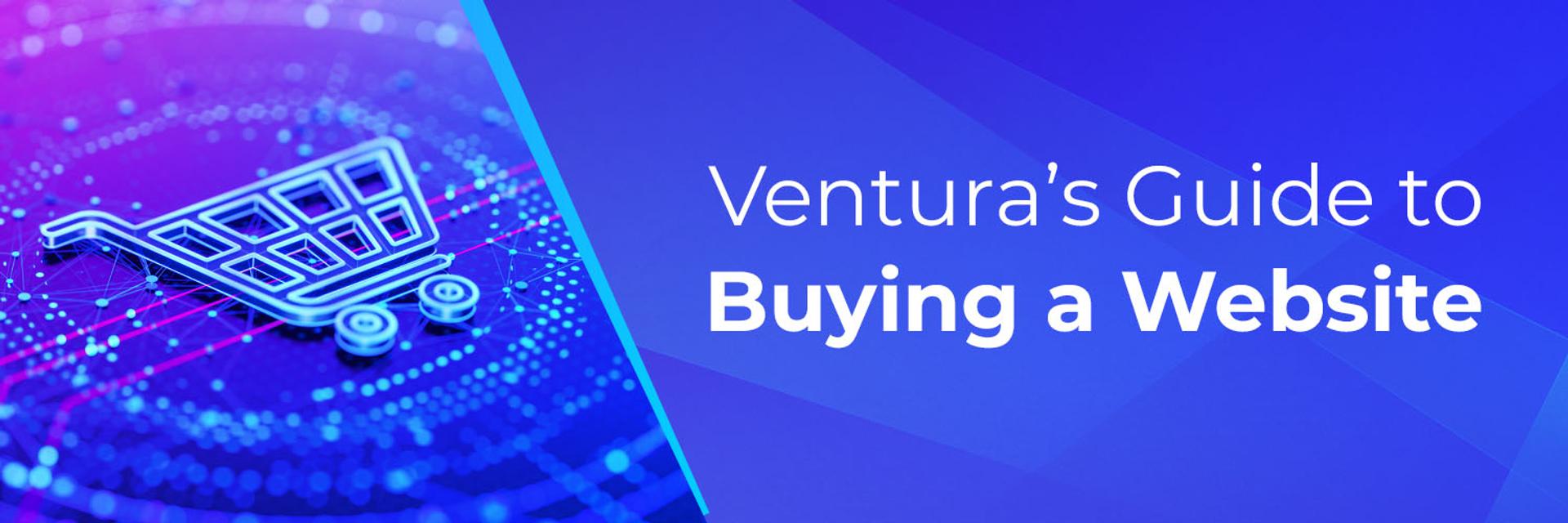 Cover for Ventura's Guide to Buying a Website