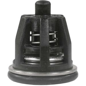 KIT 1 INTERPUMP