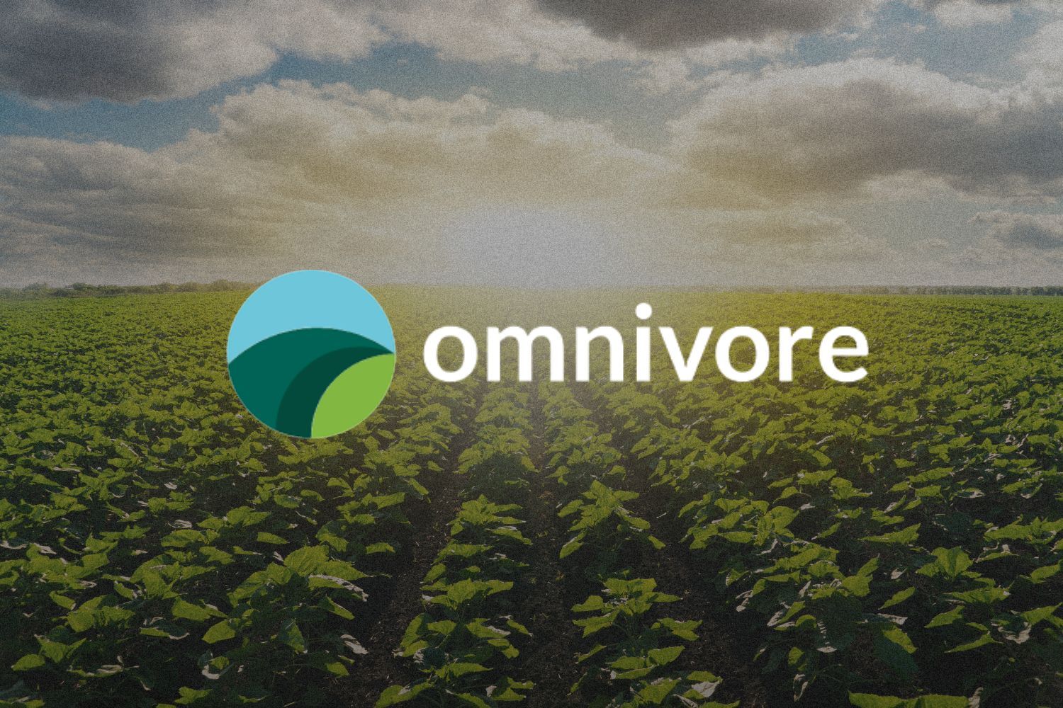 Creative image of Omnivore