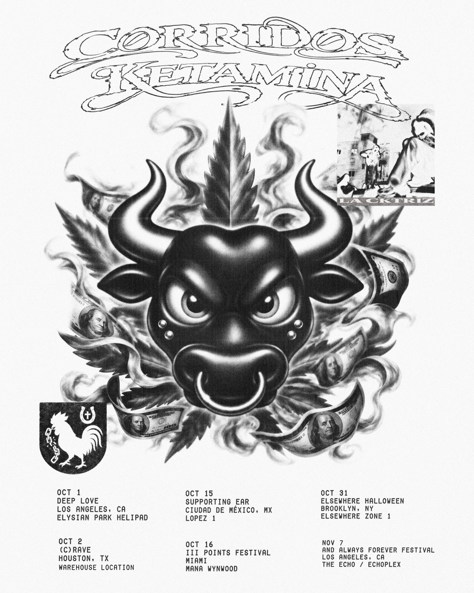 Upcoming Shows