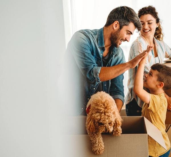Father and son high five, while unpacking. Mum looks at them smiling. Family dog climbing out of a box. Father and son high five, while unpacking. Mum looks at them smiling. Family dog climbing out of a box.