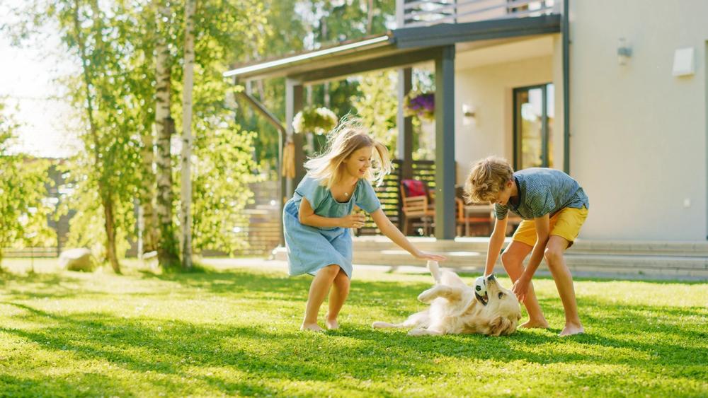 Boy and girl, playing in the back yard with the dog. Boy and girl, playing in the back yard with the dog.