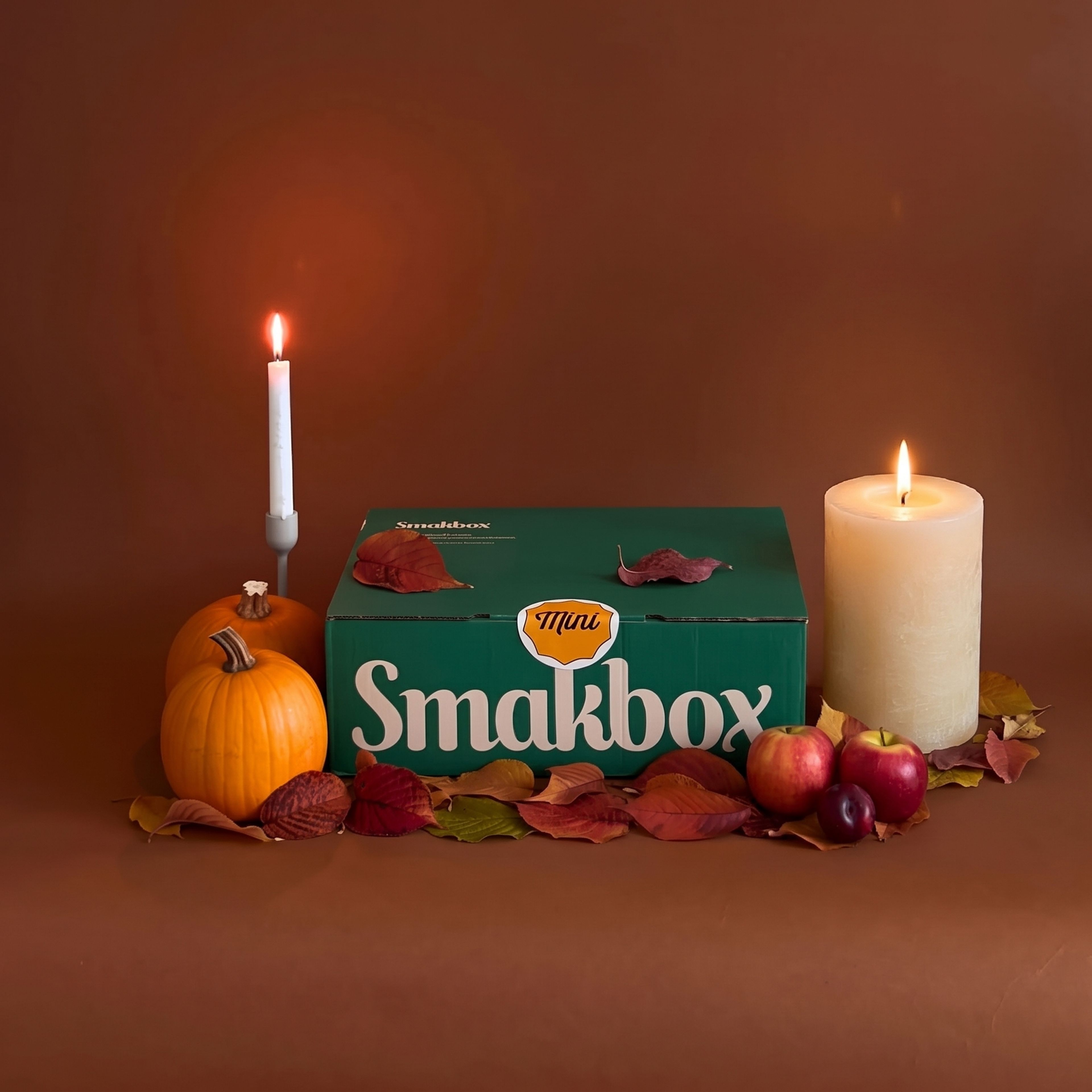 Smakbox Mini