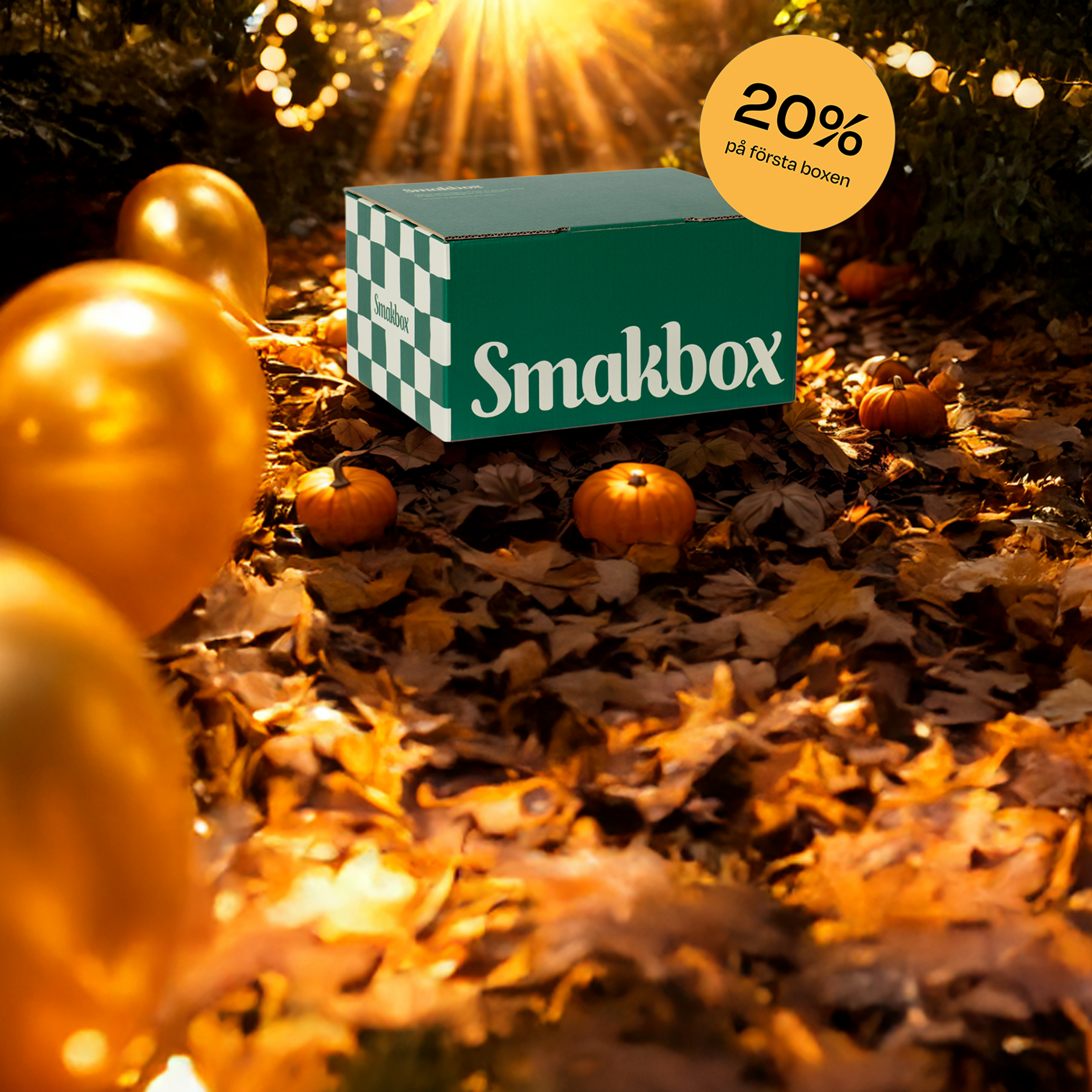 Hitta nya favoriter med Smakbox – Sveriges största provsmakningsbox