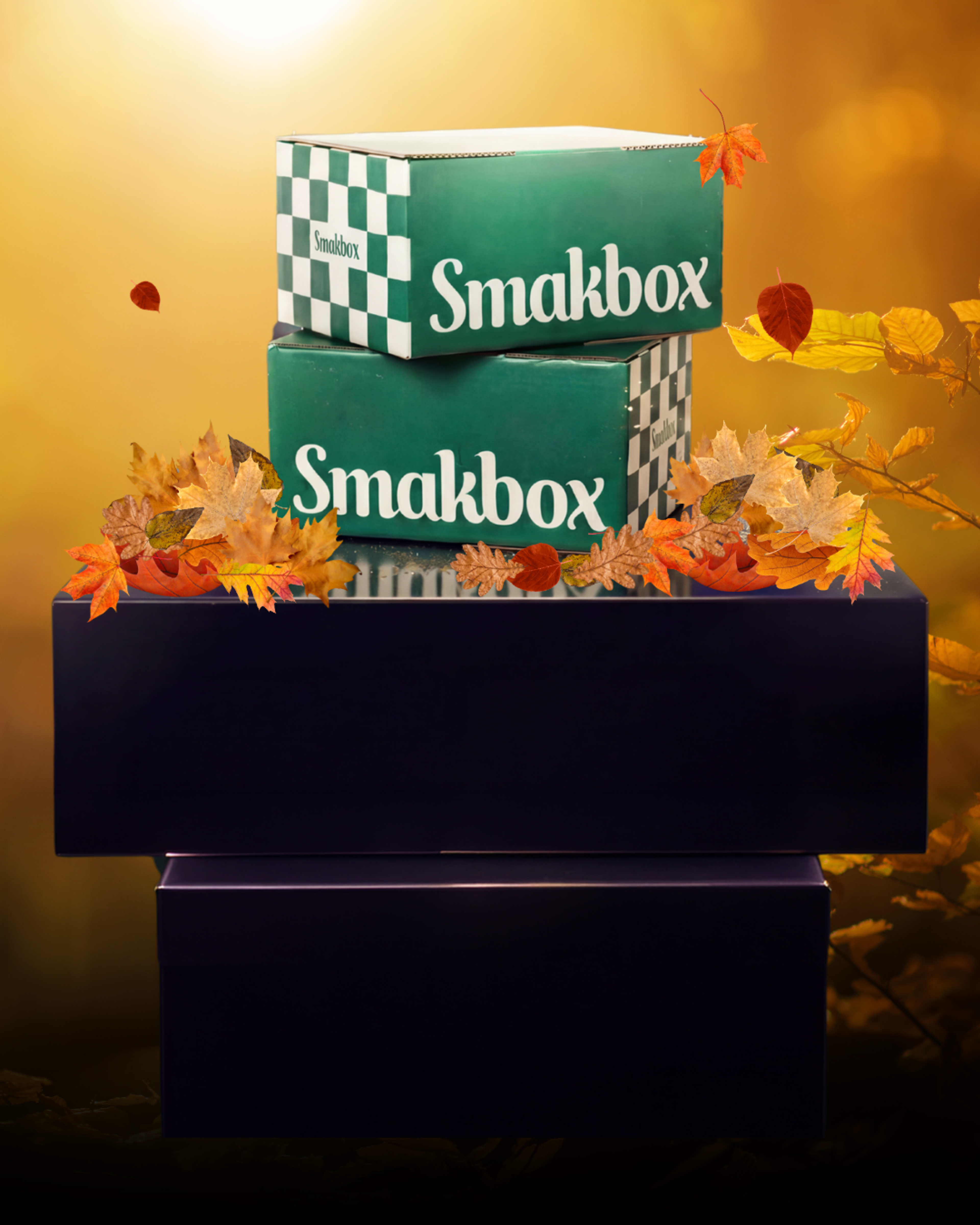 Hitta nya favoriter med Smakbox – Sveriges största provsmakningsbox