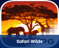 safari-wilds-logo