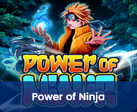 Power-of-Ninja-logo