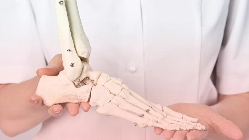 Médico reumatólogo examinando el modelo anatómico del esqueleto de un pie para explicar el diagnóstico clínico de afecciones como artritis y artrosis.