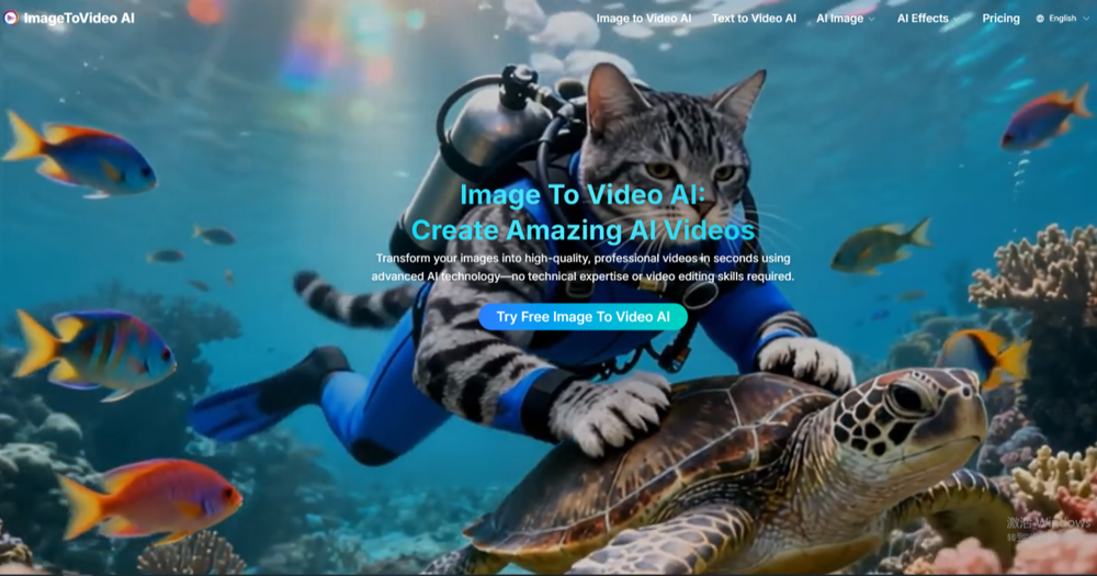 image of Imagetovideo AI