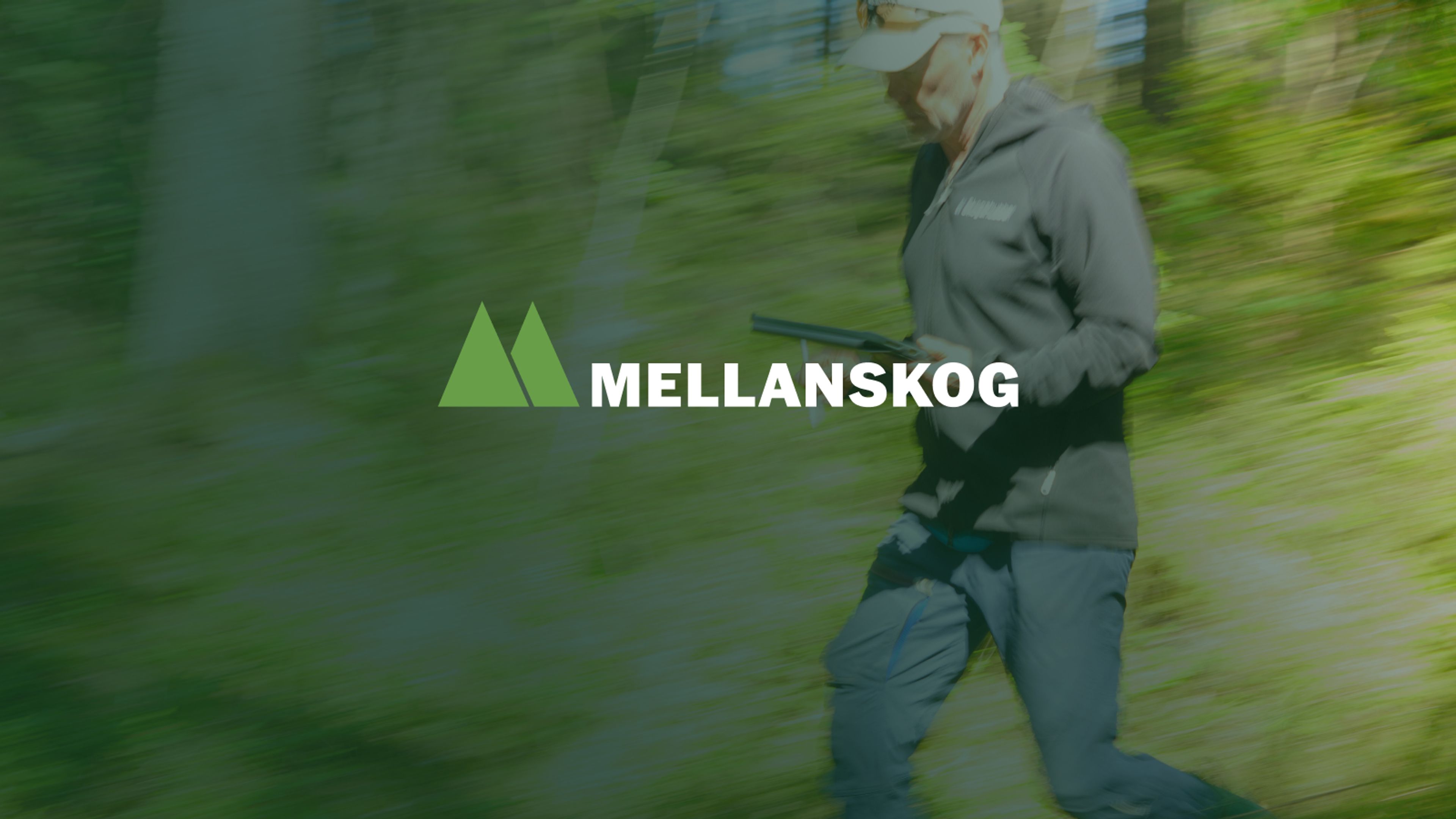 mellanskog skogshubben samarbete