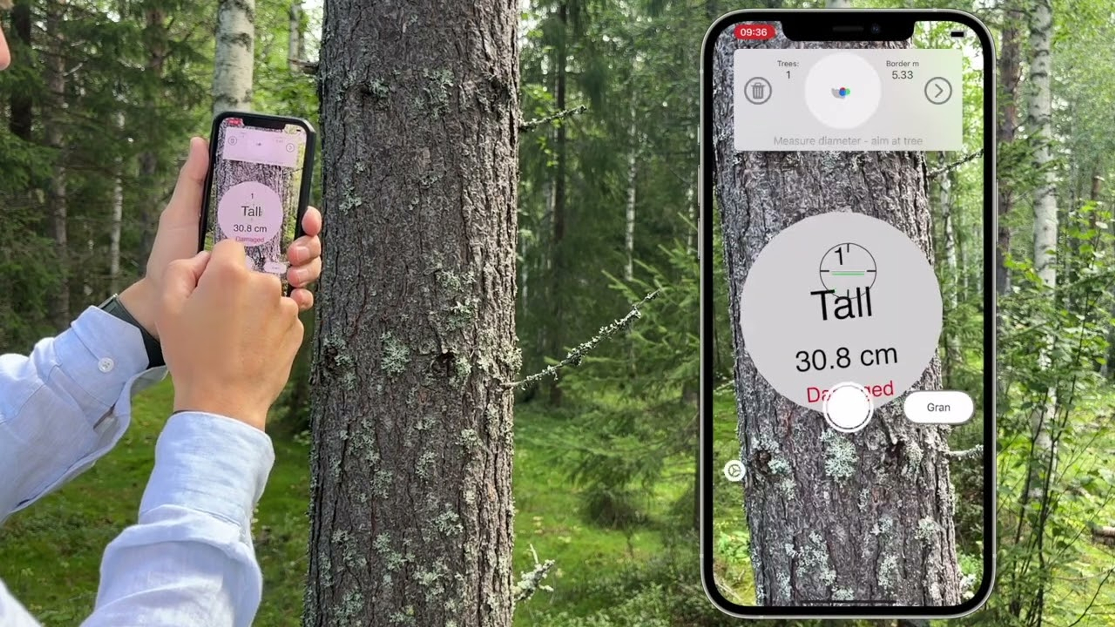 Mäter skog med arboreal