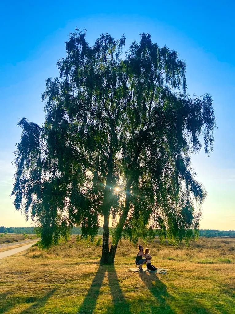 Op de Veluwe? Trakteer jezelf op een massage