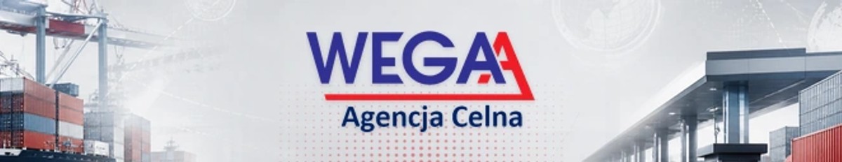 Case study SellWise – Agencja Celna Wega