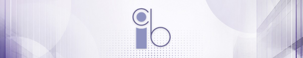 Case study SellWise – CIB Pabianice