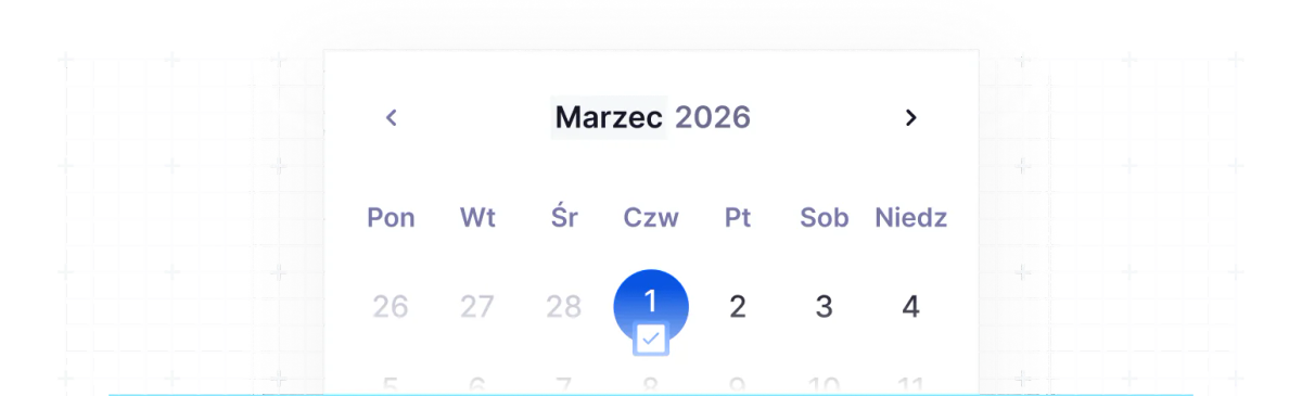 Elastyczny format