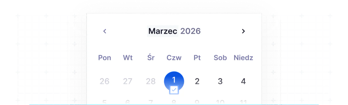 Elastyczny format