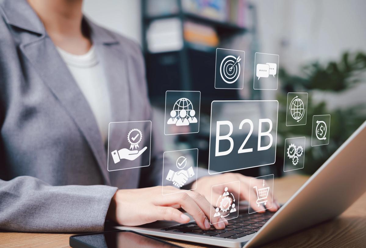 strategia B2B i jej elementy - wizualizacja