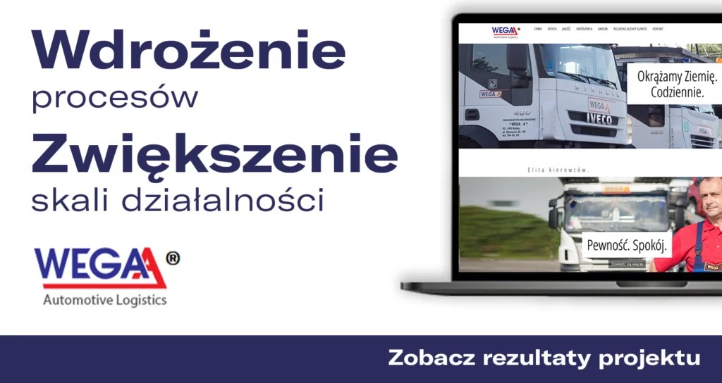 Case study SellWise – Agencja Celna Wega
