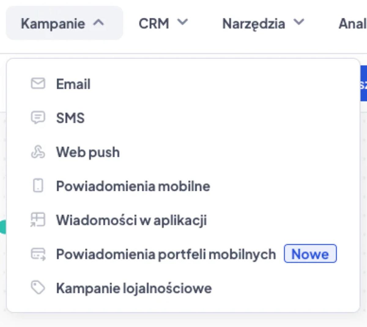 Opcje kampanii w user.com m.in. wysyłanie e maili