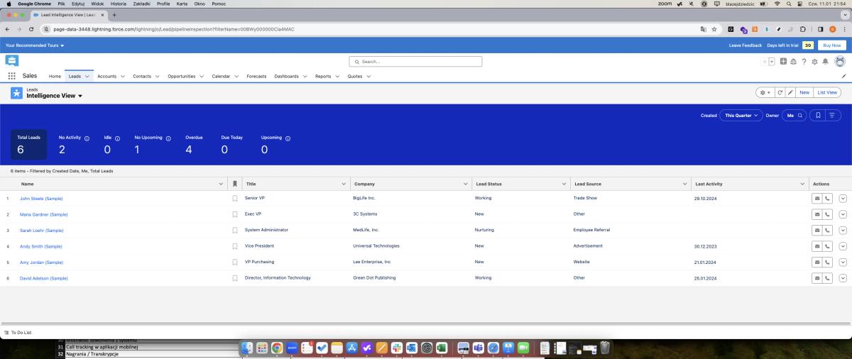 Widok wszystkich leadów w Salesforce